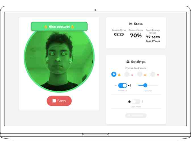 Postura - One Year Pro Subscription #1