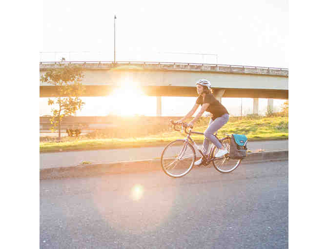 North St. Bags Morrison Convertible Backpack Pannier