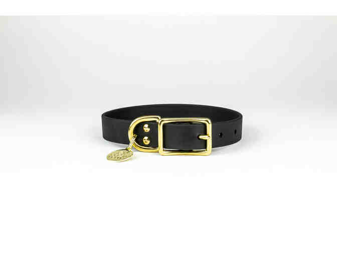 Ocean Hound Get Salty Black Leash & Collar Combo Kit