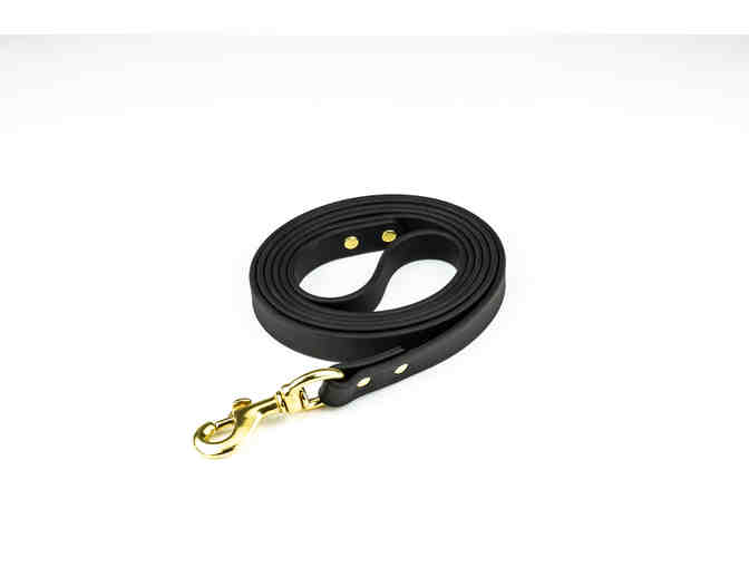 Ocean Hound Get Salty Black Leash & Collar Combo Kit