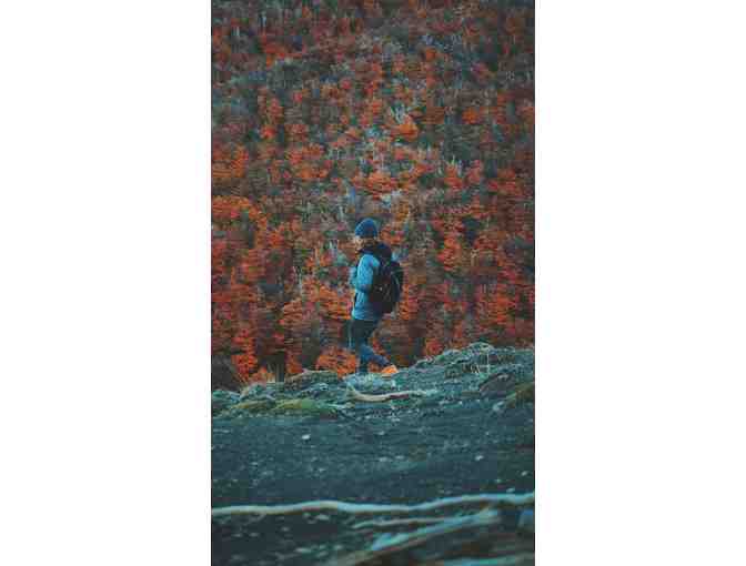 Tincho & Lola Frey Backpack