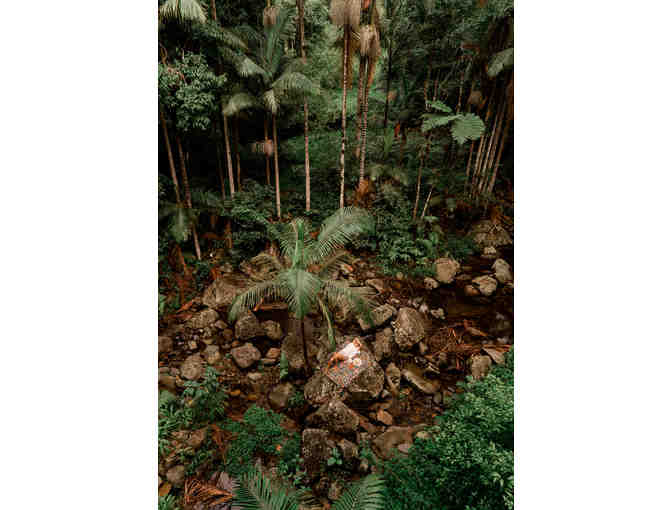 Wandering Folk Picnic Rug - Native Wildflower