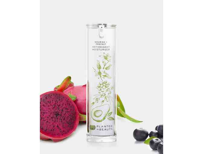 Planted In Beauty Treatment Essentials