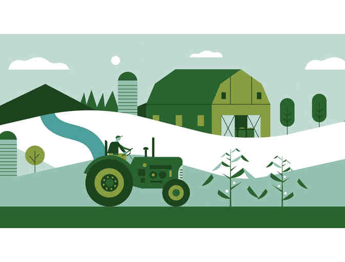 Animated Manifesto Video (Explainer Video)