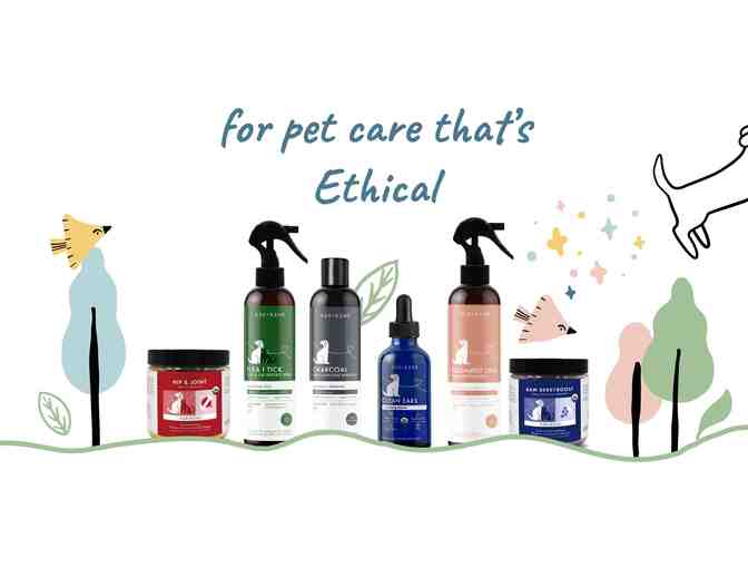 Animated Manifesto Video (Explainer Video)