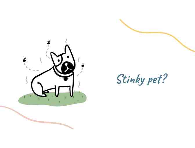 Animated Manifesto Video (Explainer Video)