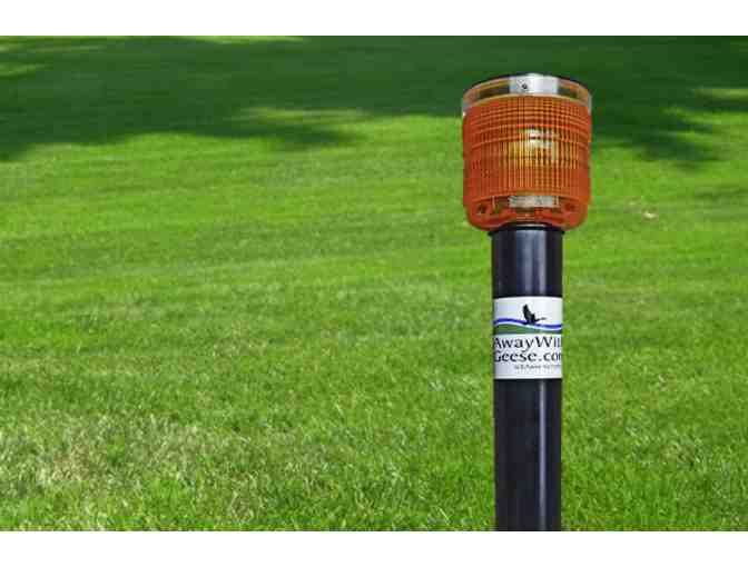 Away With Geese - Residential Unit