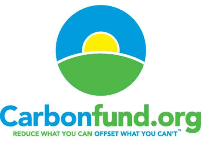 Annual Lifestyle Emissions Offset - Individual