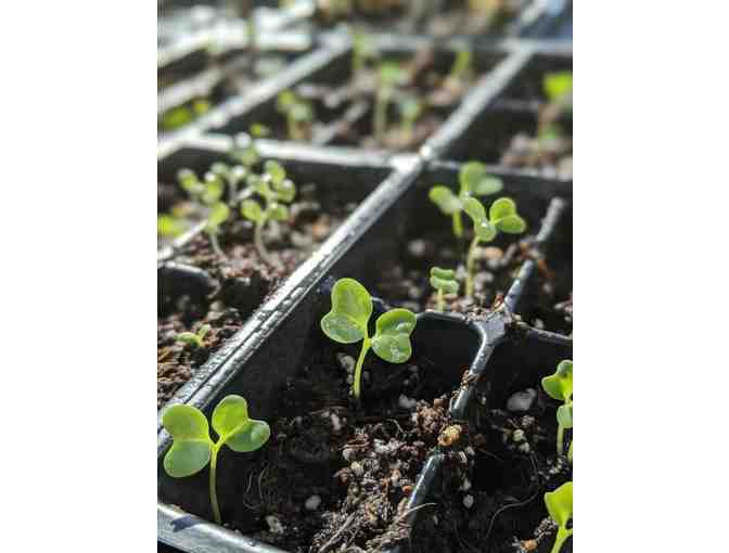 Garden Manager Success Bundle -- 1 FREE year of membership