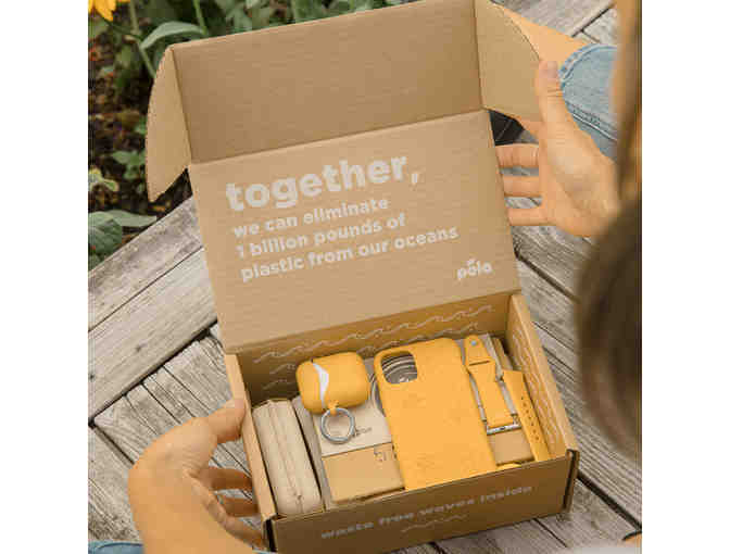 Apple Zero Waste Bundle