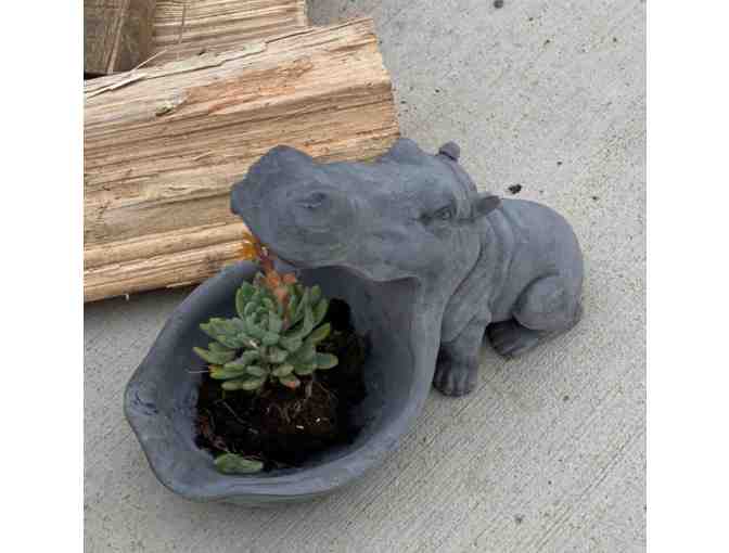 Hazel Hippie Planter or Keys Bowl