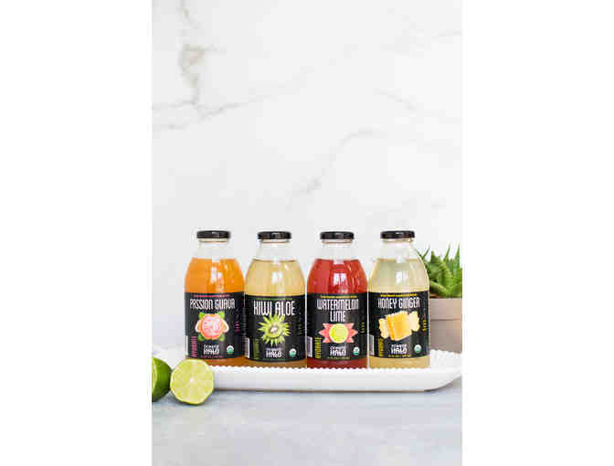 Ocean's Halo Prize Pack