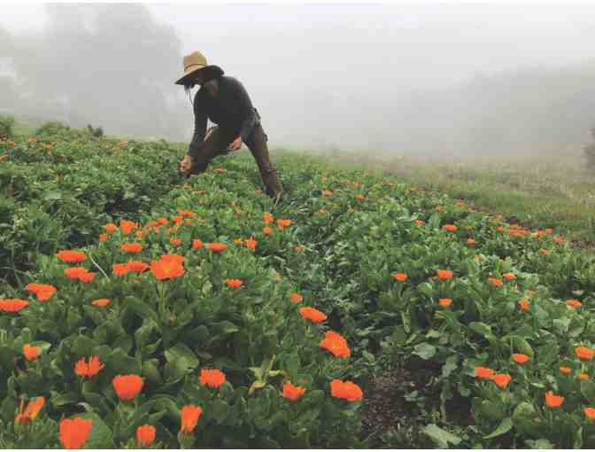 All Good All Stars Set