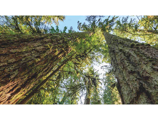 Wilderness International Carbon Footprint Calculation