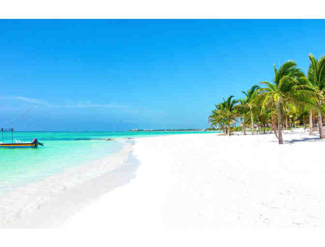 Palmaia: The House of Aia