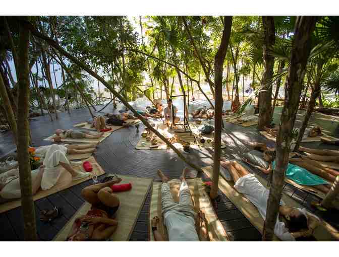 Palmaia: The House of Aia