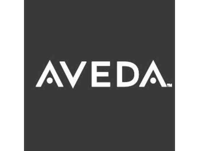 Centennial Hills Salon & Day Spa: $250 Gift Certificate