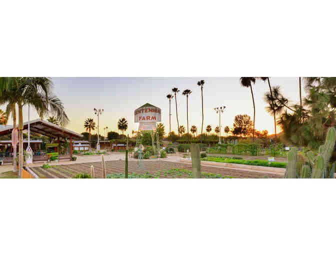 Orange County Getaway