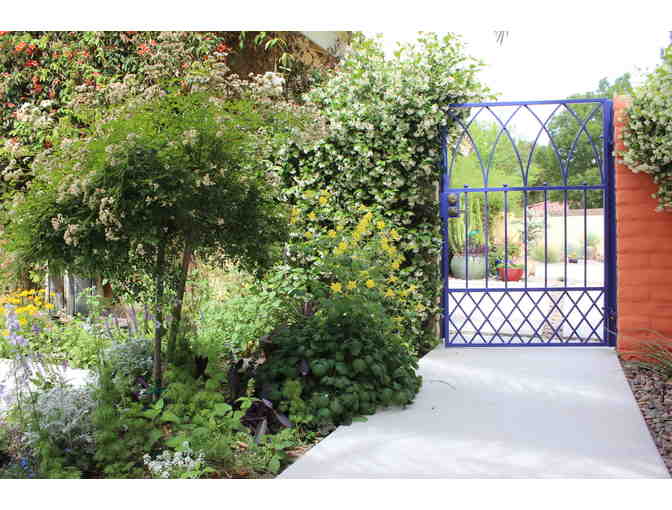 Schilling Horticulture Group: 2 Hour Landscape Consultation