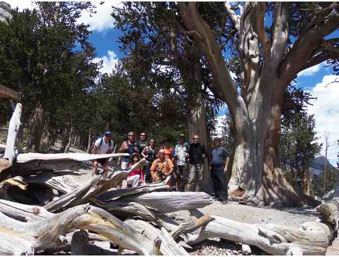 Desert Companion Magazine: Personalized Hiking Experience with Alan Gegax