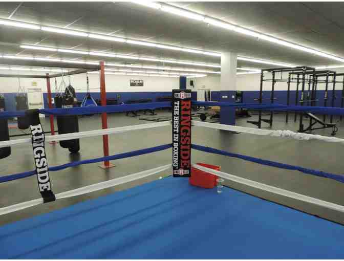 Big Scary Gym: One Month Of Personal Training