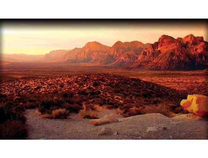 Las Vegas Scenic Tours: Red Rock Scenic Tour for One