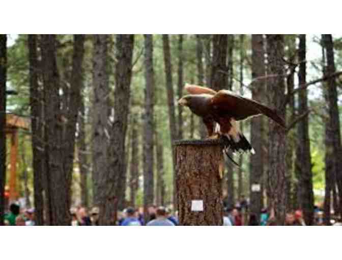 Bearizona: One Car Pass