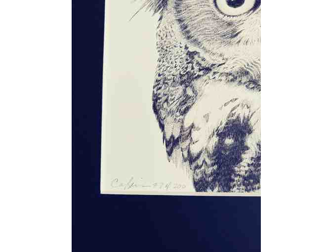 Great horned owl signed pen and ink print by Carol Livingston.
