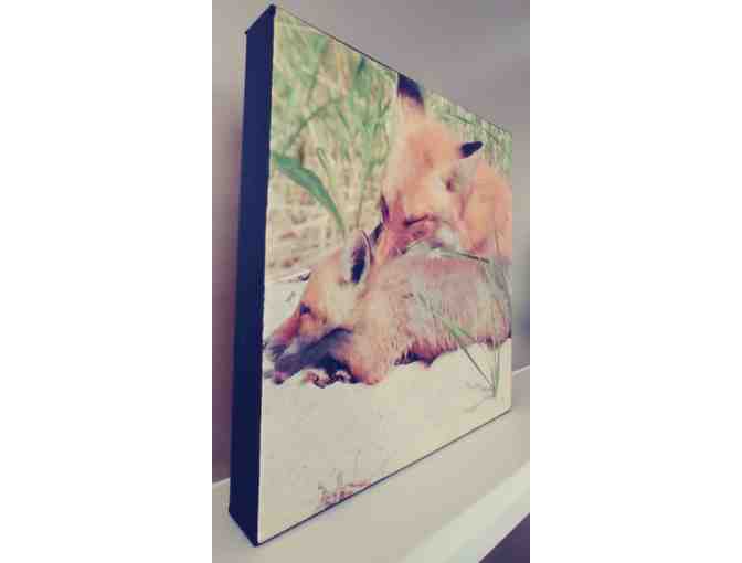 A Mother Fox and her Cub Resting in Sand Dunes, original photograph on canvas.