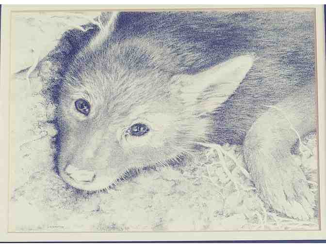 Framed pen and Ink fox print by Carol Livingston