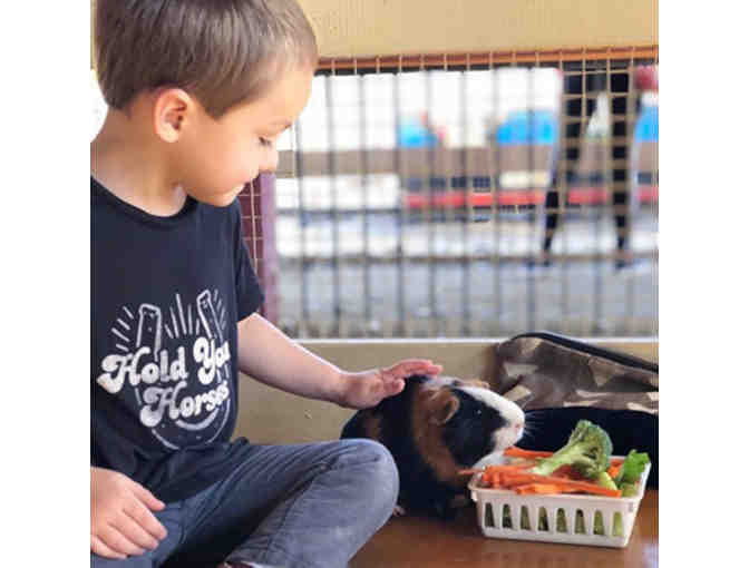 ZooMars - 4 Admission Tickets