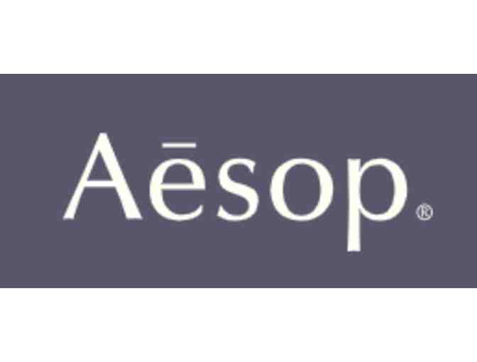 Aesop Parsley Anti-Oxidant Skin Care Kit