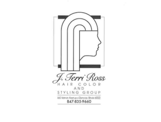 Hair Color and Blow-out with Select Stylist at J. Terri Ross Salon
