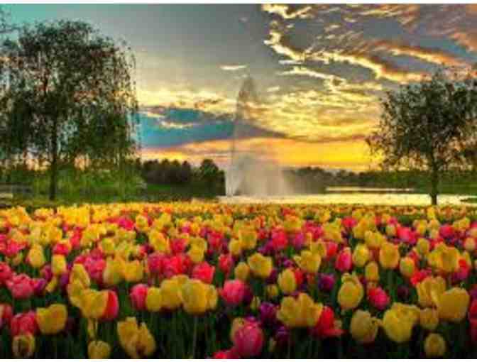 A Day at The Chicago Botanical Garden for Four