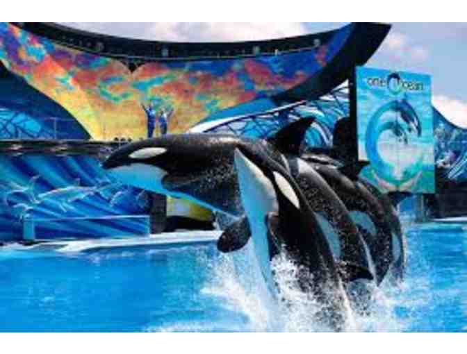 Take your family of 4 to Sea World!