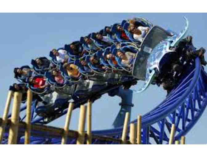 Take your family of 4 to Sea World!