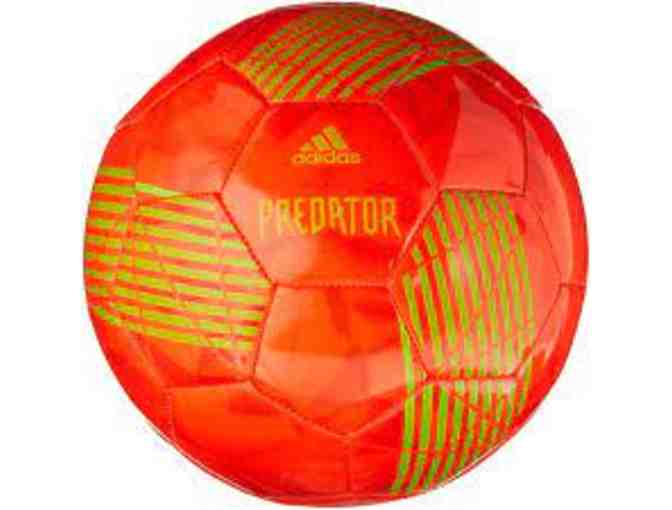 Sports Basket- 1st grade donation