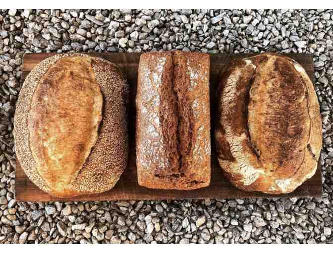 Orchard Hill Breadworks 'Bread Bucks'