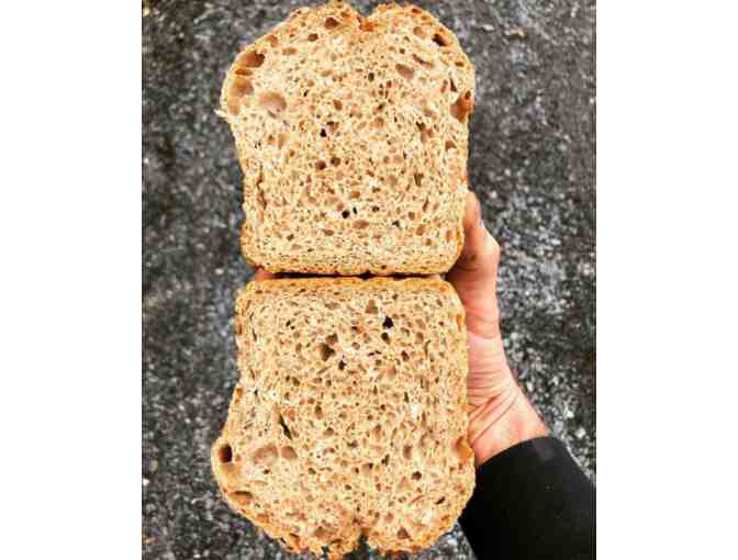 Orchard Hill Breadworks 'Bread Bucks'