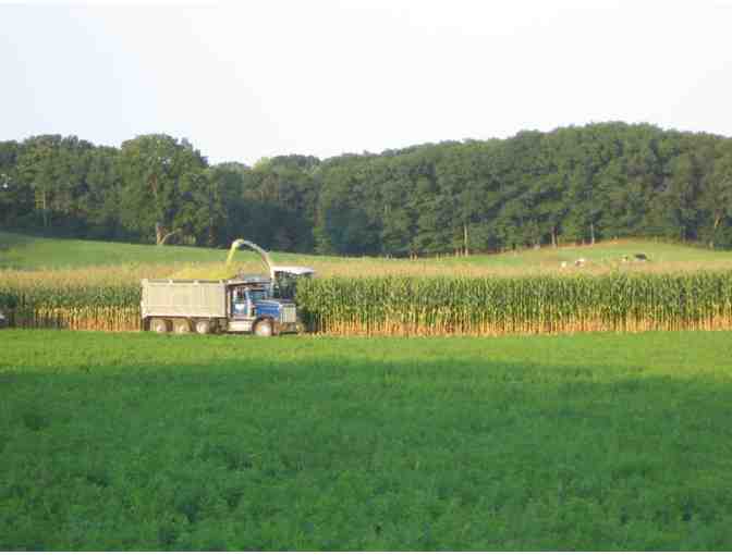 Insider's Tour of an Historic, Working Dairy Farm, Stratham, NH