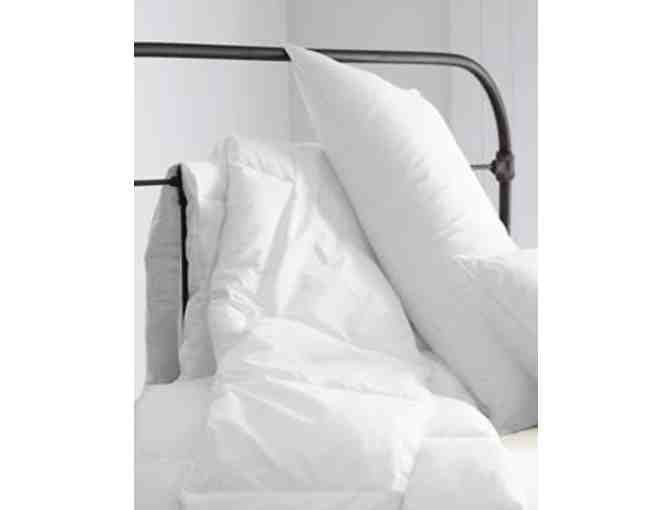 Queen-sized Iron Bed Frame from Garnet Hill