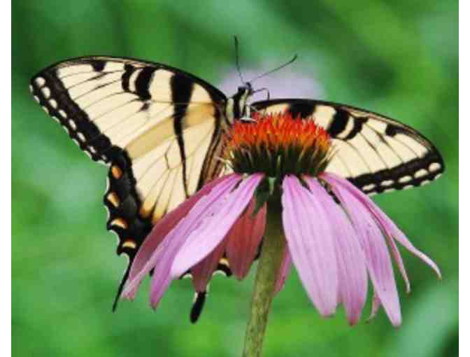 Experience Milwaukee County Parks III