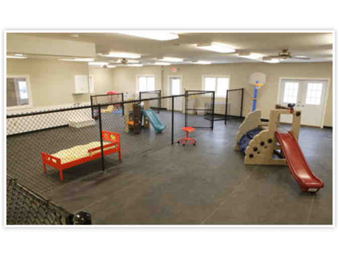 Play, Make Friends, Nap/North Shore Doggy Daycare