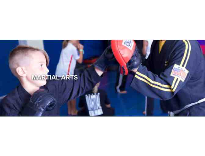 Experience Elite I...