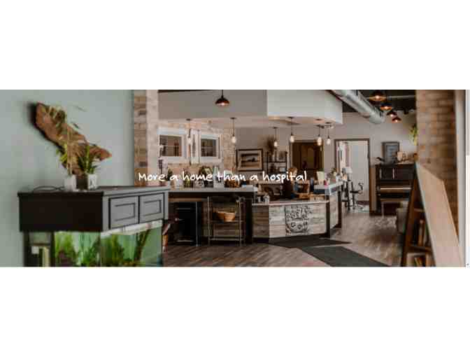 Exam, Vaccines and Swag/Dr Noah's Ark Vet Clinic