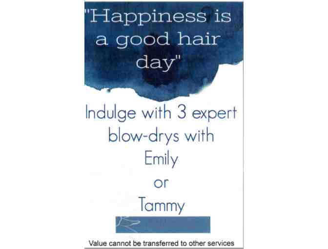 Blow-Drys/Indulge Salon