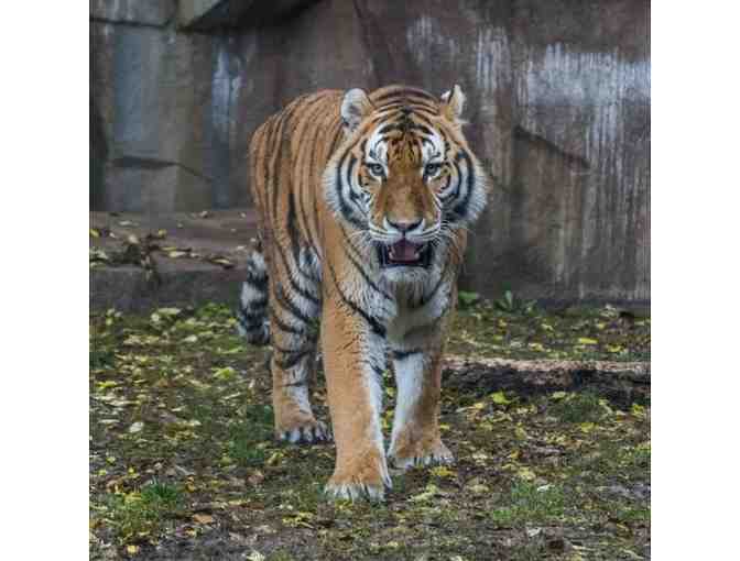 Visit The Milwaukee County Zoo