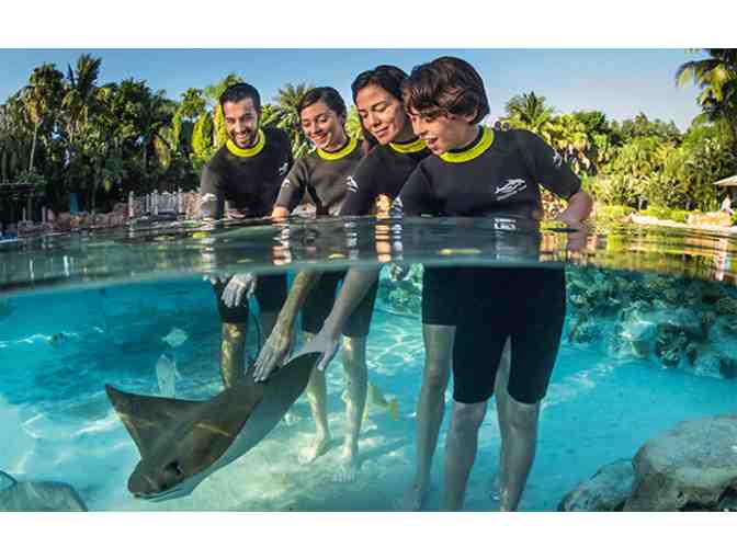 Four Days/Three Nights in Orlando with Disney World and SeaWorld Tickets for Family of 4