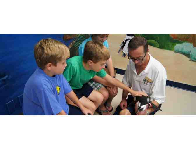 Audubon Nature Institute - 4 tickets to selection