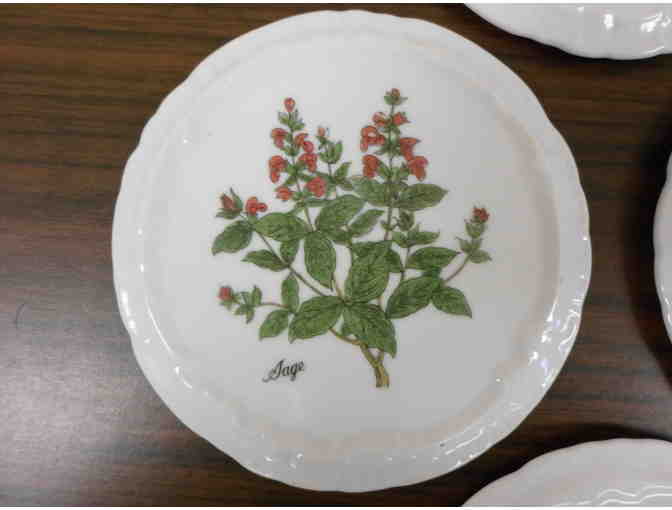 Four Decorative Wall Hangings for your kitchen